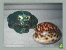 frogs_0019.jpg