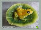 frogs_world_0010.jpg