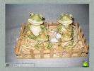 frogs_world_008.jpg